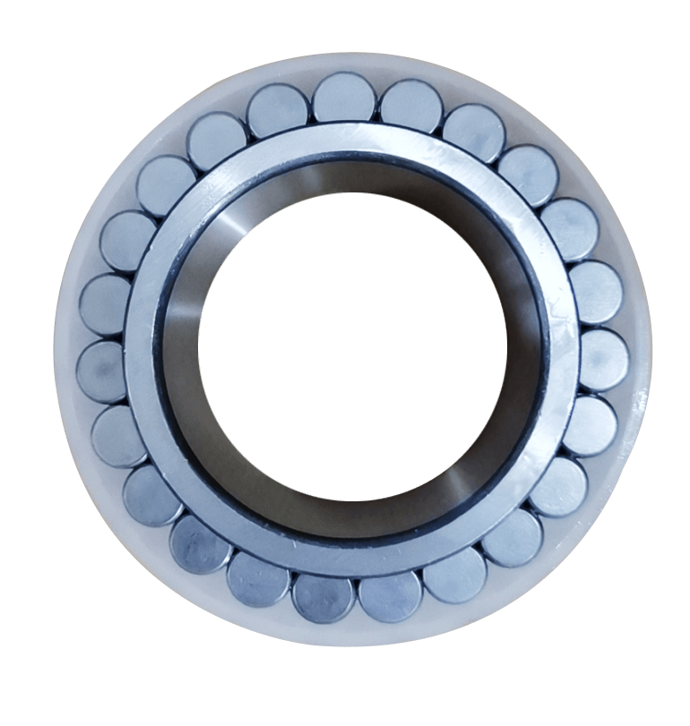 No outer ring series bearing