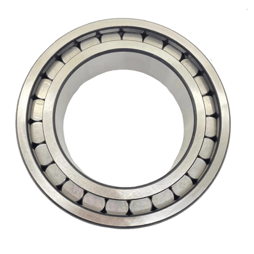 SL/RSL series bearing