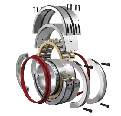 Non standard roller bearing